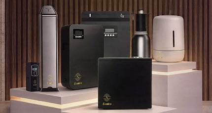 aroma diffuser UAE